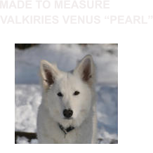 VALKIRIES VENUS “PEARL” MADE TO MEASURE