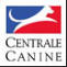 centrale canine