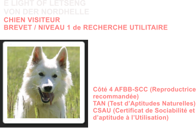 Dysplasie des Hanches HDA Dysplasie des coudes ED0 MDR1 +/+ DM N/N  Dentition complte en ciseaux ADN Ct 4 AFBB-SCC (Reproductrice recommande) TAN (Test dAptitudes Naturelles) CSAU (Certificat de Sociabilit et daptitude  lUtilisation)           E LIGHT OF LETSENG VON DER NORDHELLE CHIEN VISITEUR BREVET / NIVEAU 1 de RECHERCHE UTILITAIRE