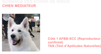 NUWANDA DES ECRINS DE SIRIUS CHIEN MEDIATEUR Dysplasie des Hanches HDA Dysplasie des coudes ED1 MDR1 +/+ (non porteur) DM N/N (non porteur) NAH N/N (non porteur) Dentition complte en ciseaux ADN Ct 1 AFBB-SCC (Reproducteur confirm) TAN (Test dAptitudes Naturelles)