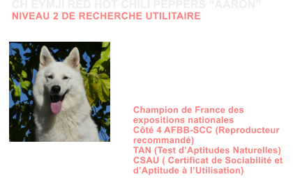Dysplasie des Hanches HDA Dysplasie des coudes ED0 MDR1 +/+ (non porteur) DM N/N (non porteur) NAH N/NAH (porteur sain) MH N/N (non porteur) Dentition complte en ciseaux ADN Champion de France des expositions nationales Ct 4 AFBB-SCC (Reproducteur  recommand) TAN (Test dAptitudes Naturelles) CSAU ( Certificat de Sociabilit et  dAptitude  lUtilisation)             CH EYMJI RED HOT CHILI PEPPERS AARON NIVEAU 2 DE RECHERCHE UTILITAIRE