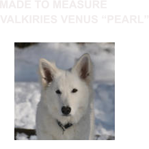 VALKIRIES VENUS PEARL MADE TO MEASURE
