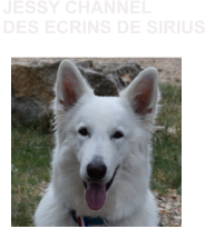 JESSY CHANNEL DES ECRINS DE SIRIUS