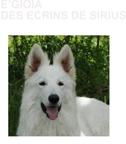 EGIOIA DES ECRINS DE SIRIUS