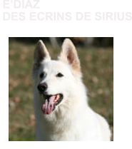 EDIAZ  DES ECRINS DE SIRIUS