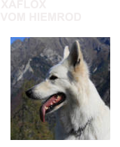 VOM HIEMROD XAFLOX
