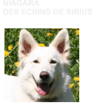 NIAGARA DES ECRINS DE SIRIUS