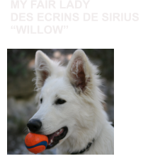 MY FAIR LADY DES ECRINS DE SIRIUS  WILLOW