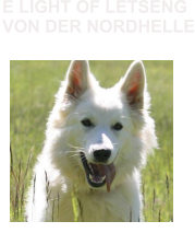 E LIGHT OF LETSENG VON DER NORDHELLE