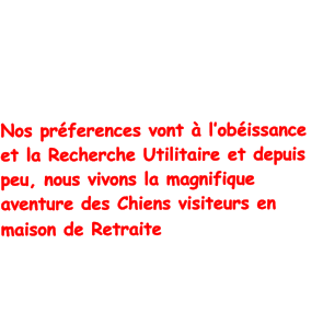 Toutes les occasions sont bonnes pour les initier  de nouvelles activites : agility, troupeau, mordant, attelage, recherche de personne, pistage, cavage. Nos prferences vont  lobissance et la Recherche Utilitaire et depuis peu, nous vivons la magnifique aventure des Chiens visiteurs en maison de Retraite